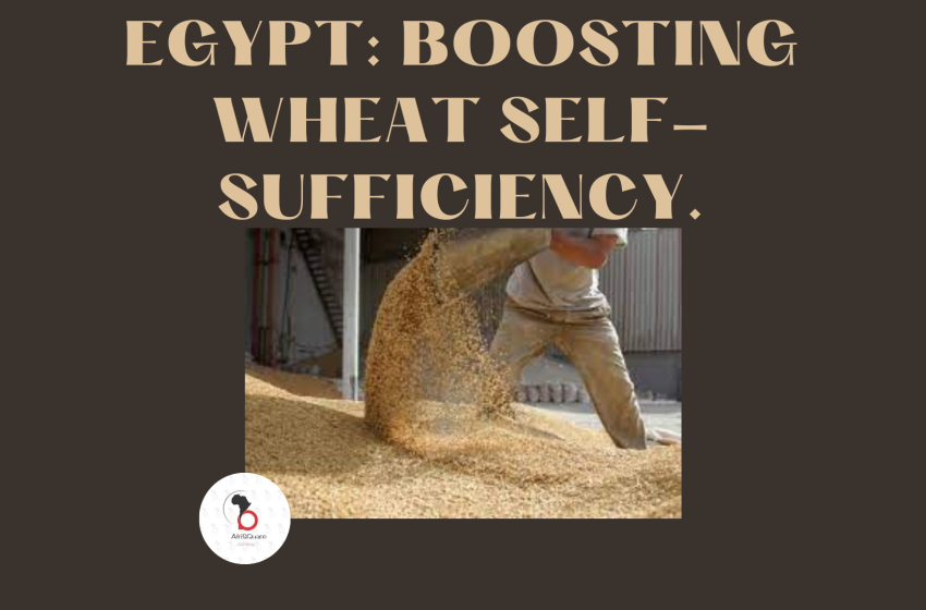  EGYPT: BOOSTING WHEAT SELF-SUFFICIENCY.