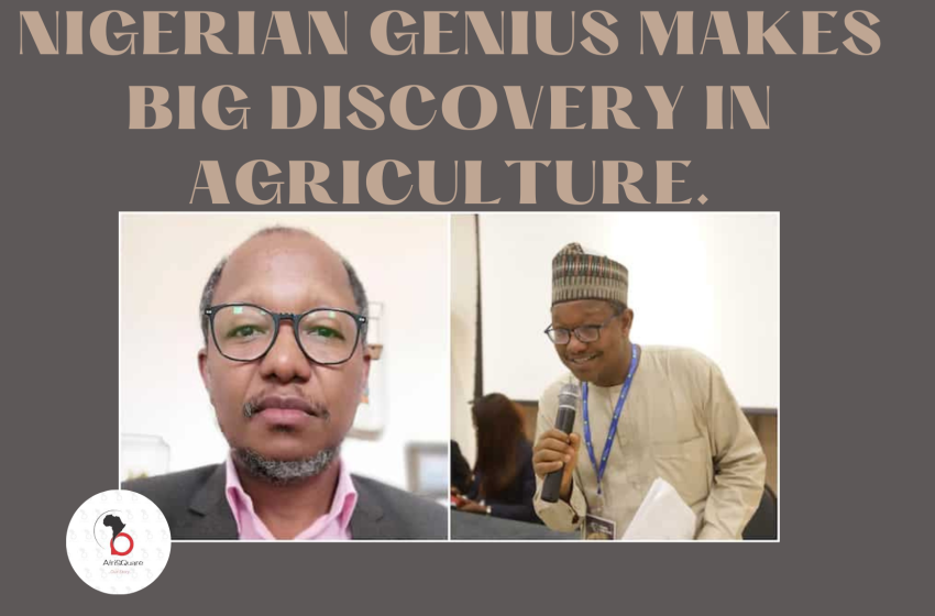  NIGERIAN GENIUS MAKES BIG DISCOVERY IN AGRICULTURE.