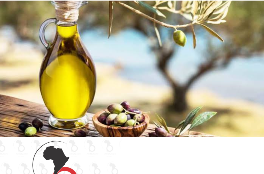  TUNISIA: Culinary Route of Sfax Olive Oil Initiative Launched