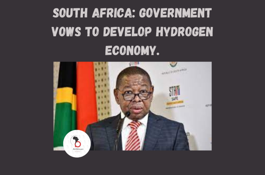  South Africa: Government Vows to Develop Hydrogen Economy.