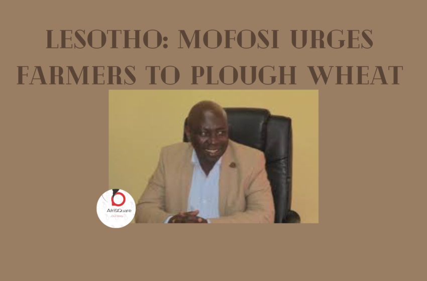  Lesotho: Mofosi Urges Farmers to Plough Wheat.
