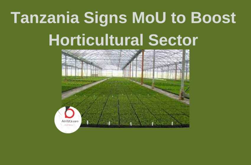  Tanzania Signs MoU to Boost Horticultural Sector.